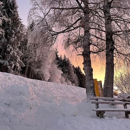 Luserblick Haus im Ennstal Zewnętrze zdjęcie