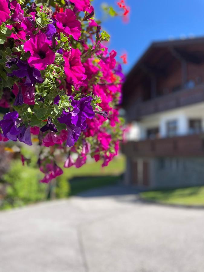 Luserblick Haus im Ennstal Zewnętrze zdjęcie