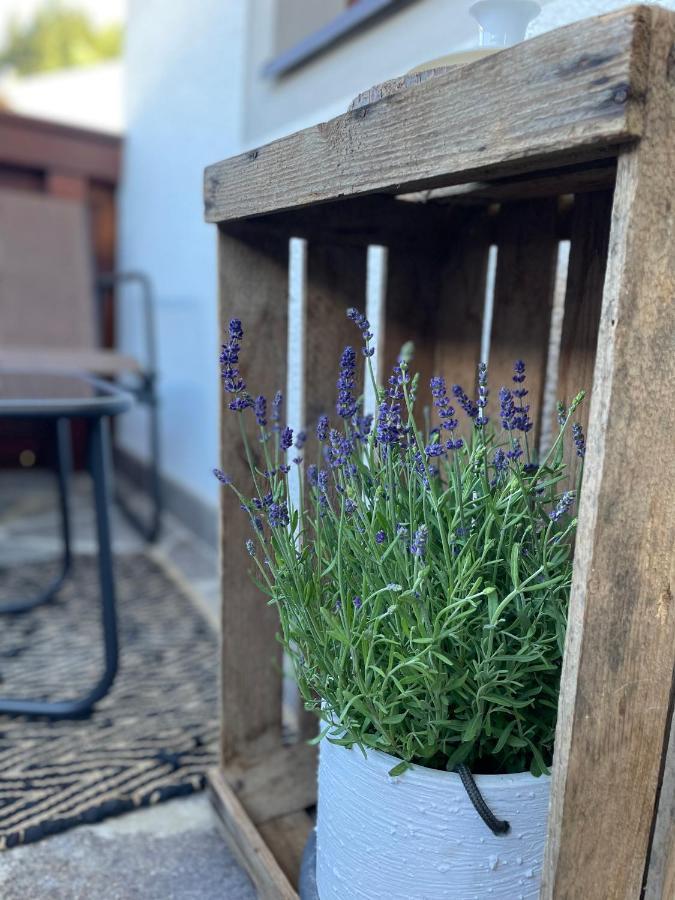 Luserblick Haus im Ennstal Zewnętrze zdjęcie