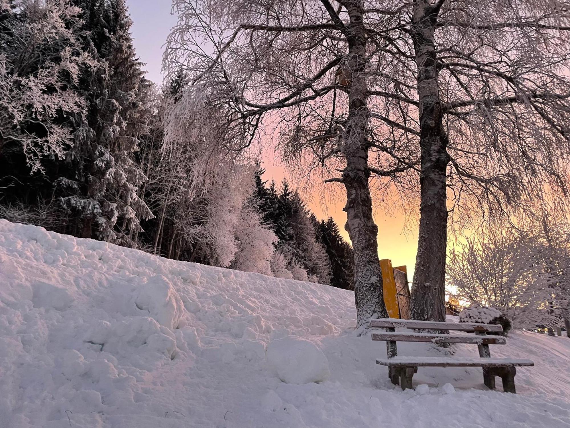 Luserblick Haus im Ennstal Zewnętrze zdjęcie